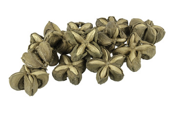 Sacha inchi peanut seed isolate on white background with clipping path