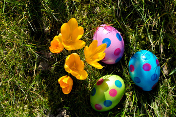 3 grün, blau, pink gepunktete Ostereier mit gelben Korkussen