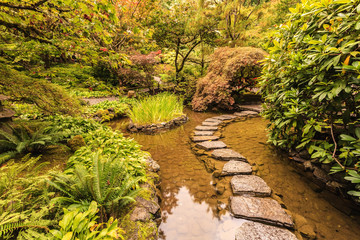 The stones in  water