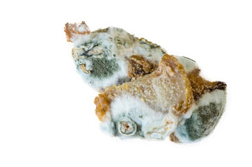 Moldy meat