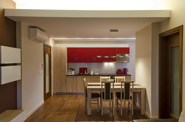 Living room and kitchen site  with modern LED lighting