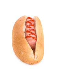Tasty grilled hotdog