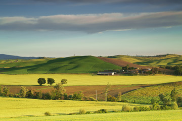 Fototapeta na wymiar The countryside of Tuscany. Italy