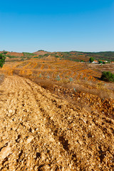 Naklejka premium Plowed Terraces