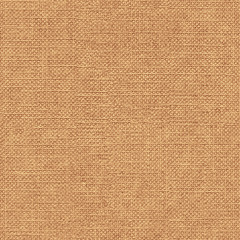 Fototapeta premium Canvas texture