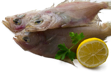 Fresh fish with lemon and parsley