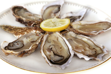 Huîtres