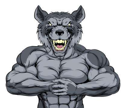 Muscle Wolf Cartoon Images – Browse 152 Stock Photos, Vectors, and Video |  Adobe Stock