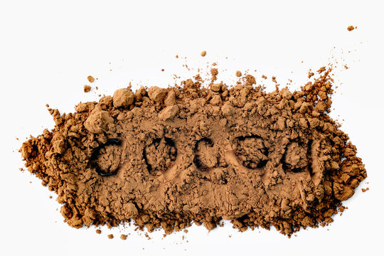 Fototapeta Cocoa powder with the inscription cocoa