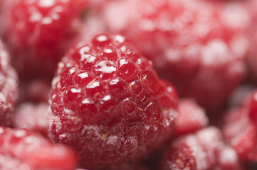single raspberry sharp