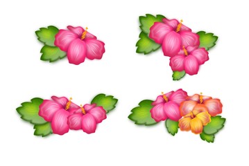 Set of pink hibiscus