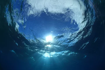 Poster Im Rahmen Wasseroberfläche und Sonnenlicht im Ozean © aquapix