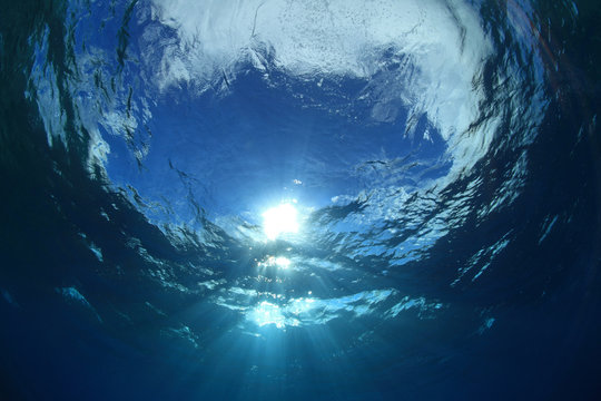 Fototapeta Water surface and sunlight in the ocean
