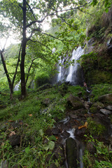 Fototapeta premium Cascade de l'anse des Cascades à la Réunion