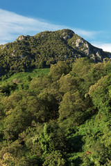 Corse, montagne de Costa verde et chevaux