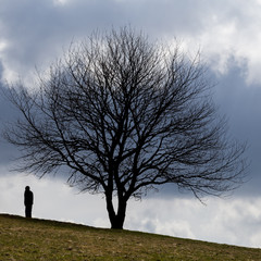 silhouetted man standing under tree
