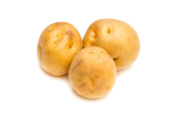 ジャガイモ-Solanum tuberosum