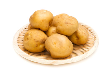 ジャガイモ-Solanum tuberosum