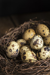 Obraz premium Moody natural lighting vintage retro style image of quaills eggs