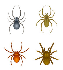 Set of spiders