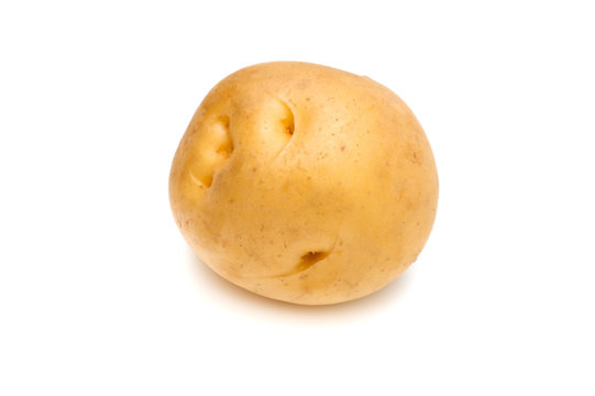 ジャガイモ-Solanum tuberosum