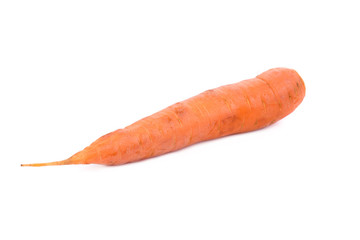 Fresh carrot.