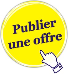 bouton publier une offre