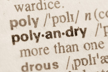 Dictionary definition of word polyandry