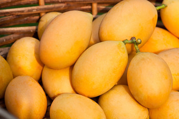 sweet Marian plum thai fruit (Mayongchid Maprang Marian Plum and