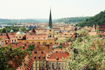 Obraz premium Houses with traditional red roofs in Prague