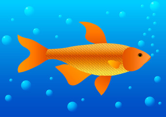 Vector illustration. Gold fish in water with bubbles.