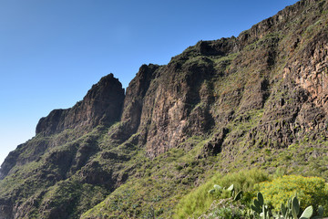 montagne au printemps