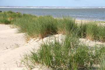 Dünen an der Nordsee