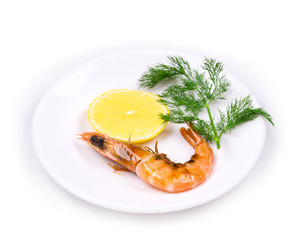 Close up of fresh boiled shrimp.