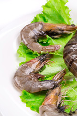 Raw shrimps on plate with lettuce and lemon.