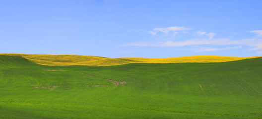 Panoramic view of Meadow