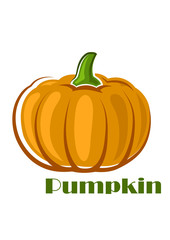 Orange pumpkin vegetable in cartoon style