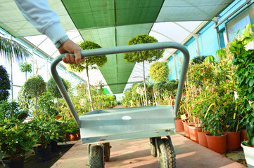 greenhouse