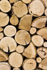 La legna impilata