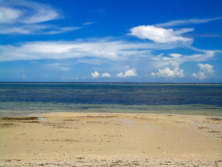 Fototapeta na wymiar Beach at Mombasa, Kenya