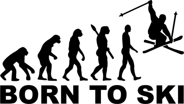 Born to Ski Stunt Evolution