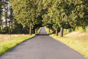 Fototapeta na wymiar Empty rural straight asphalt route.
