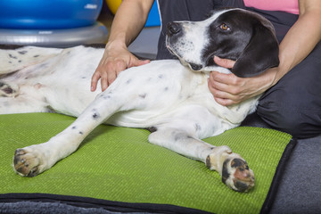 Physiotherapie