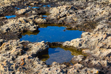 closeup pond in a stone