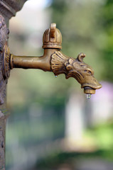 Drachenköpfiger Wasserhahn