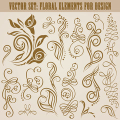Vector set of floral elements