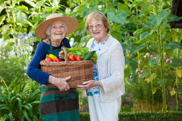 Two Elderly Holding a Basket of Veggies Together