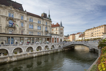 Fototapeta na wymiar river and bridge in Ljubljana in Slovenia