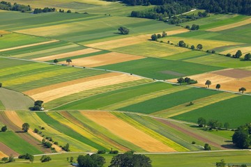 Fields