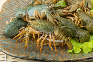 Raw Crayfish